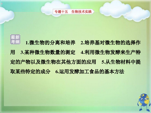 高考生物考前冲刺复习第部分专题突破方略专题十五生物技术实践