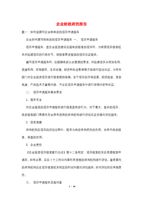 企业给政府的报告