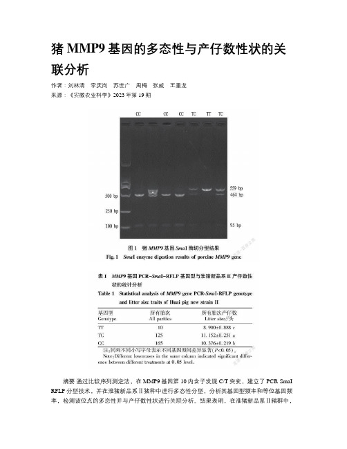 猪MMP9基因的多态性与产仔数性状的关联分析