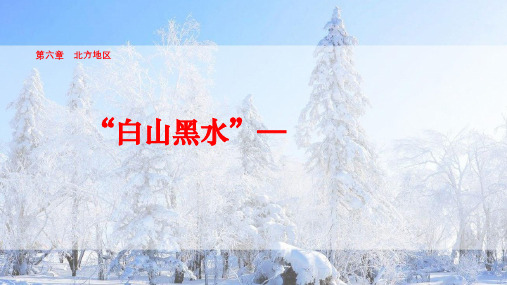 新人教版八下地理第六章第二节 “白山黑水”——东北三省PPT课件