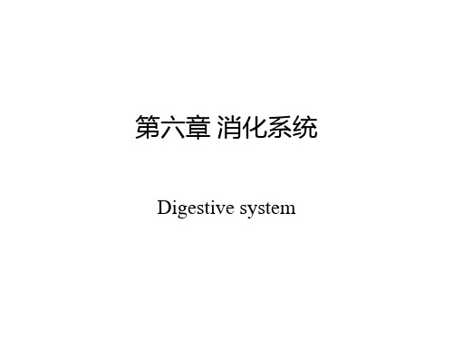 医学英语第6章消化系统