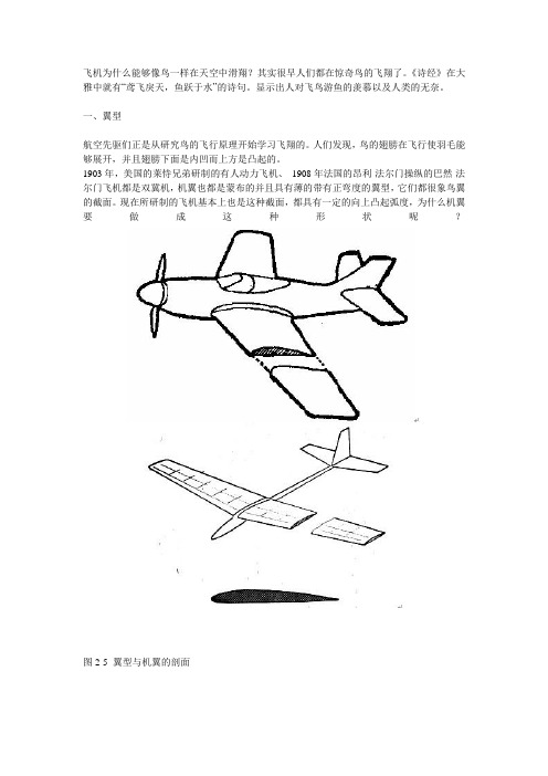 飞机为什么能够像鸟一样在天空中滑翔解析