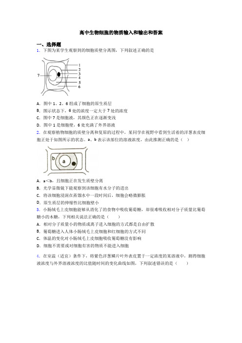 高中生物细胞的物质输入和输出和答案