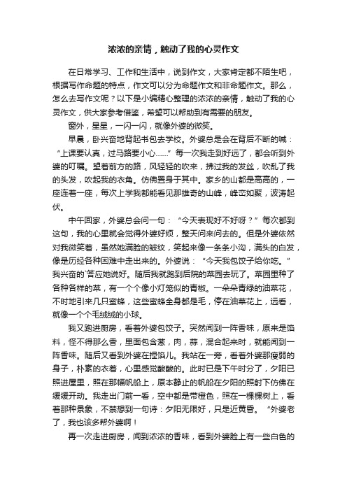 浓浓的亲情，触动了我的心灵作文