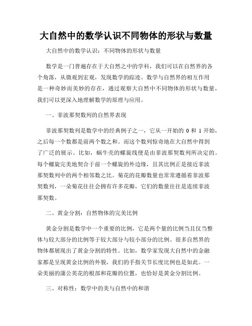 大自然中的数学认识不同物体的形状与数量