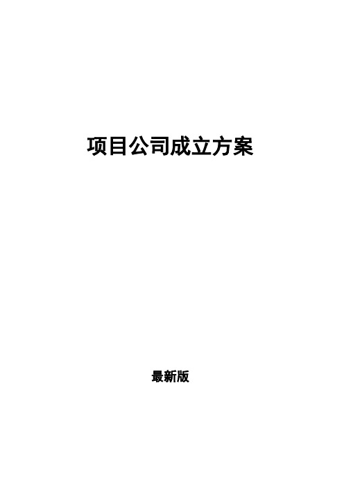 项目公司成立方案