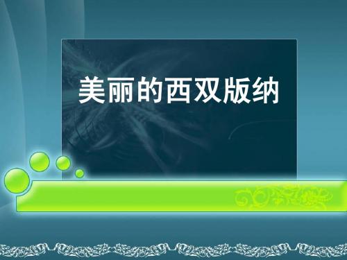 美丽的西双版纳