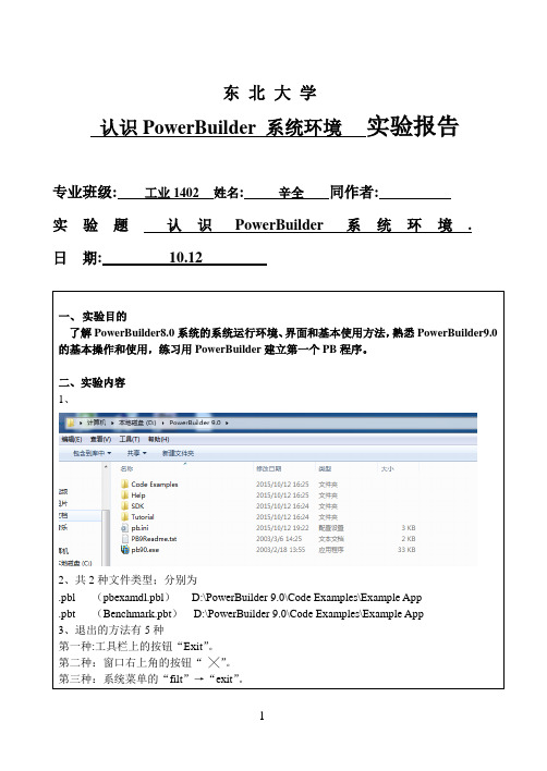 pb实验报告