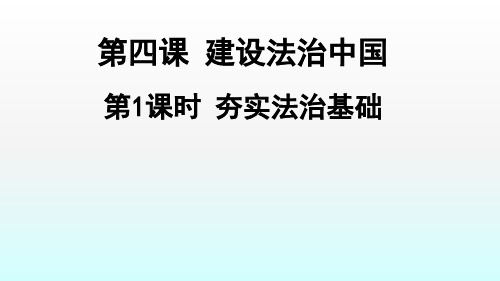 新部编版道德与法治九年级(上)夯实法治基础PPT精品课件