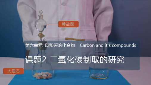 九年级化学上册 课件 6.2 二氧化碳制取的研究