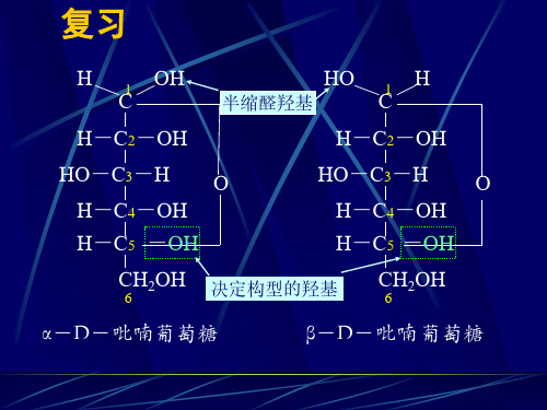 3、糖类生物化学课件(2)