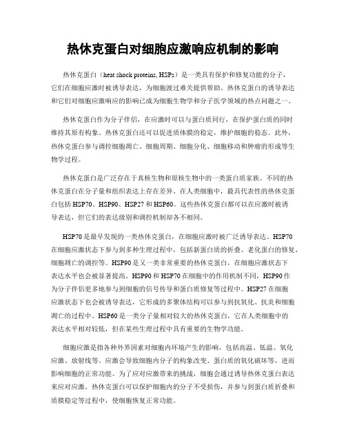 热休克蛋白对细胞应激响应机制的影响