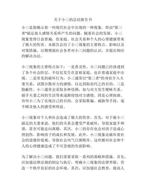 关于小三的总结报告书