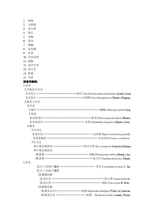 树木学检索表5