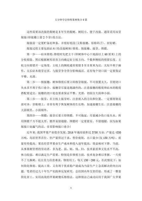 五分钟学会修剪果树集合3篇范文精选