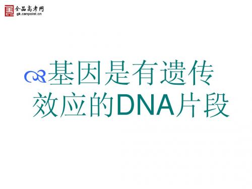 [名校联盟]内蒙古海拉尔三中高一生物《3.4基因是有遗传效应的DNA片段》课件