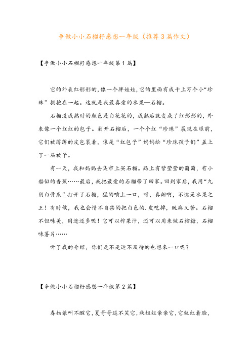 争做小小石榴籽感想一年级(推荐3篇作文)