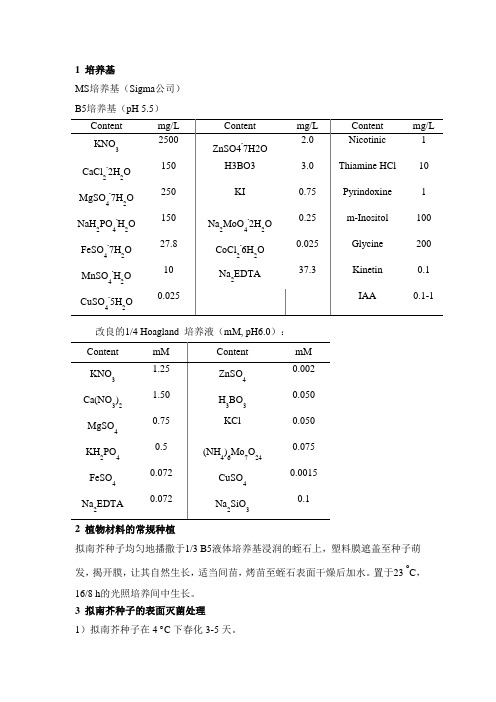 拟南芥种植及处理基本方法