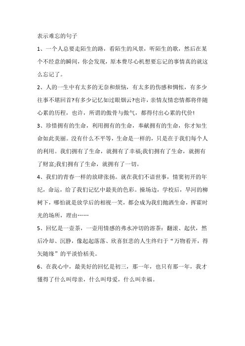 表示难忘的句子精选