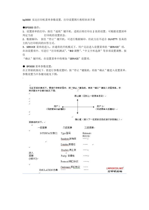 bp3000 实达打印机菜单参数设置