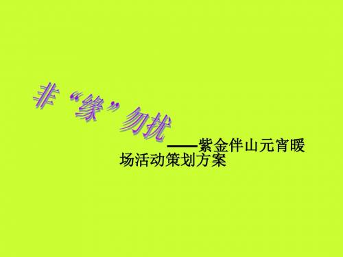 ——紫金伴山元宵暖场活动策划方案