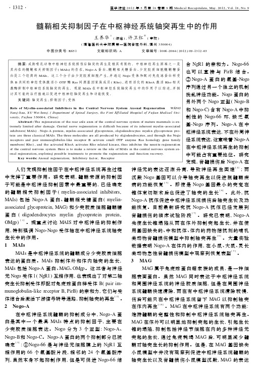 髓鞘相关抑制因子在中枢神经系统轴突再生中的作用