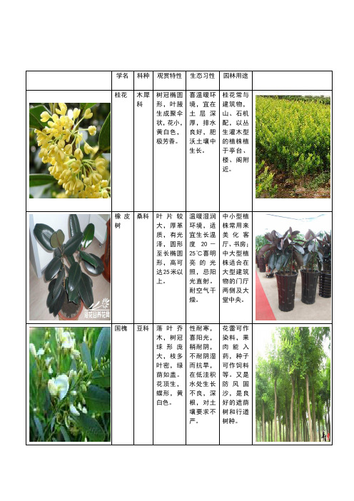 50种植物简介