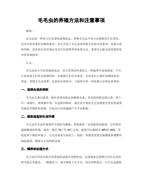 毛毛虫的养殖方法和注意事项