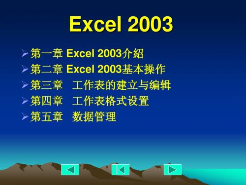 Excel2003基础教程