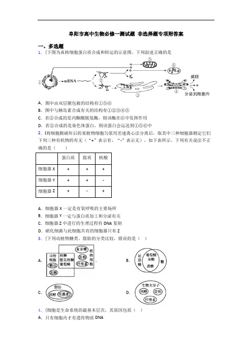 阜阳市高中生物必修一测试题 非选择题专项附答案