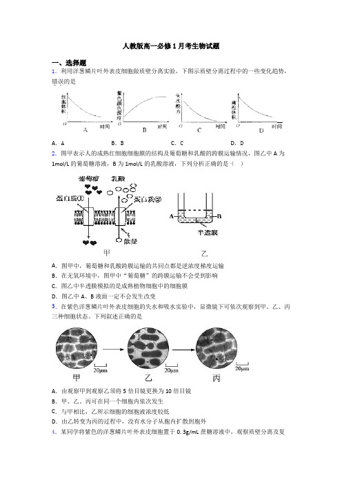 人教版高一必修1月考生物试题