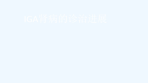 IgA肾病诊治进展ppt课件