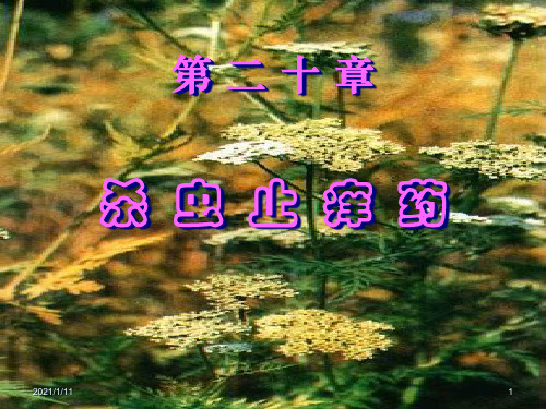 第二十章-杀虫止痒药精品PPT课件