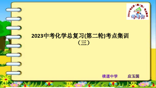 2023中考化学总复习(第二轮)考点集训三附答案