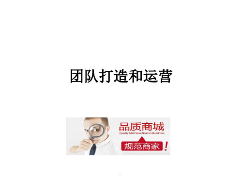 如何运营线上店铺课件.ppt