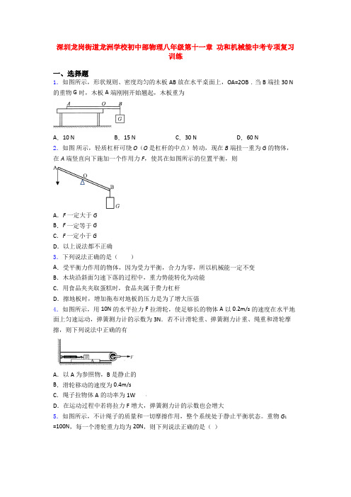 深圳龙岗街道龙洲学校初中部物理八年级第十一章 功和机械能中考专项复习训练