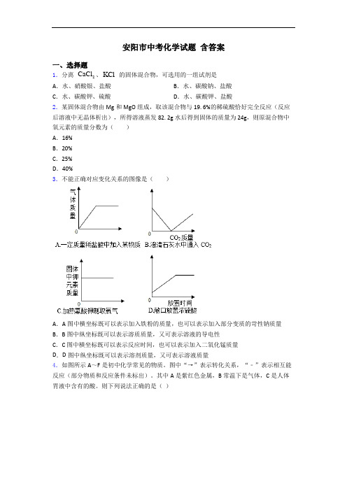 安阳市中考化学试题 含答案