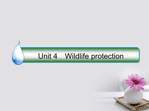 课标通用2018版高考英语大一轮复习 Unit 4 Wildlife protection讲义 新人