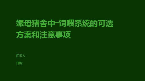 娠母猪舍中―饲喂系统的可选方案和注意事项