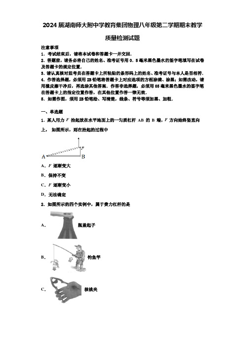 2024届湖南师大附中学教育集团物理八年级第二学期期末教学质量检测试题含解析