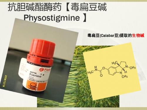 抗胆碱酯酶药【毒扁豆碱Physostigmine 】