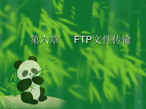 FTP文件传输