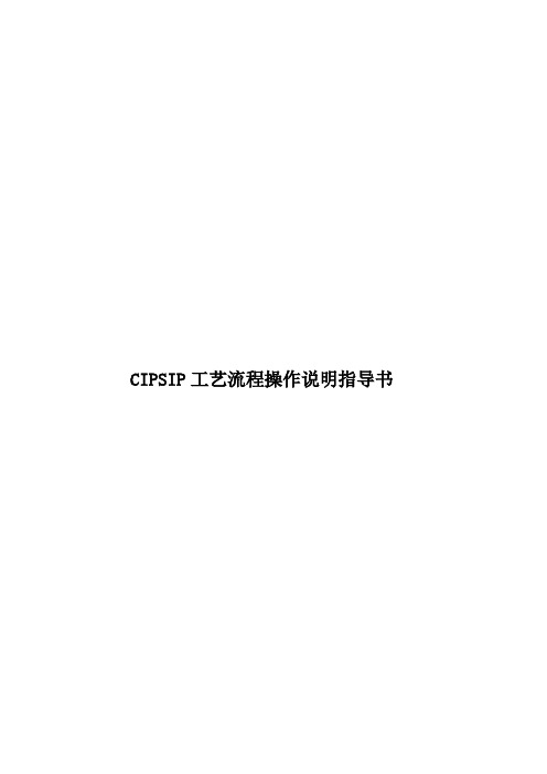 CIPSIP工艺流程操作说明指导书