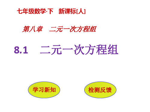 新课标七年级数学下册PPT课件-二元一次方程组