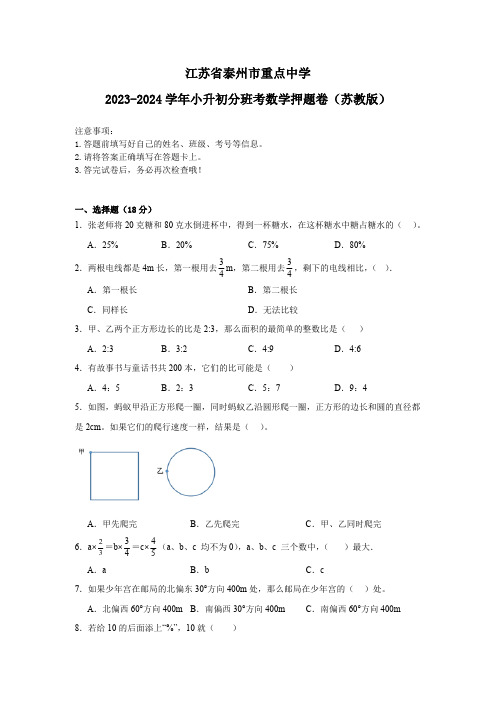 江苏省泰州市重点中学2023-2024学年小升初分班考数学押题卷(苏教版含答案)