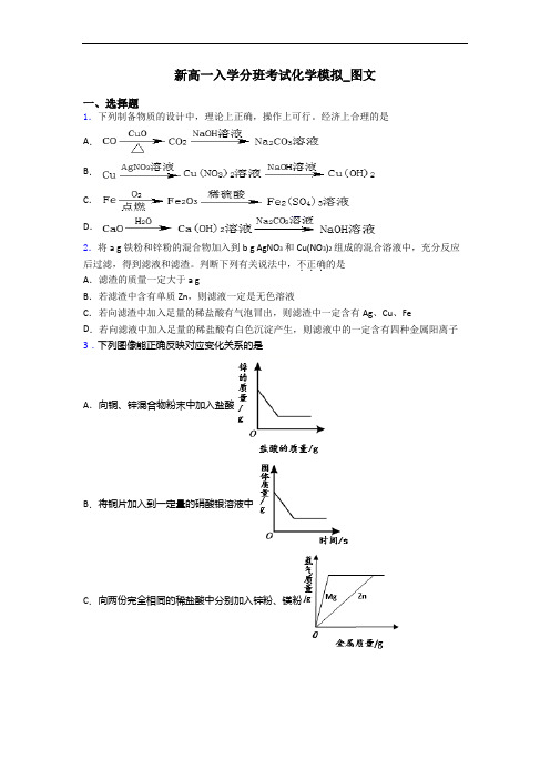 新高一入学分班考试化学模拟_图文