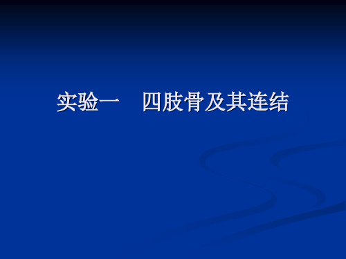 《系统解剖学》实验一 四肢骨及其连结