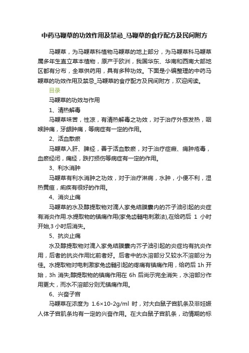 中药马鞭草的功效作用及禁忌_马鞭草的食疗配方及民间附方