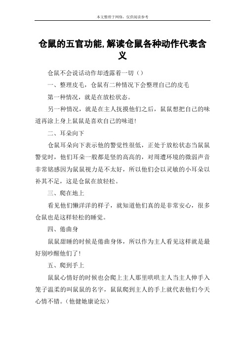 仓鼠的五官功能,解读仓鼠各种动作代表含义