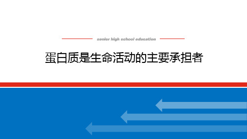 高考生物复习课件 1.3 蛋白质是生命活动的主要承担者